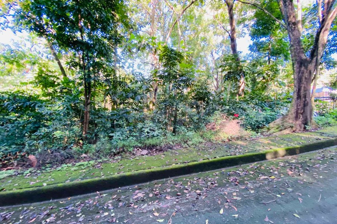 Land for Sale in Mambugan, Antipolo, Rizal – photo 3