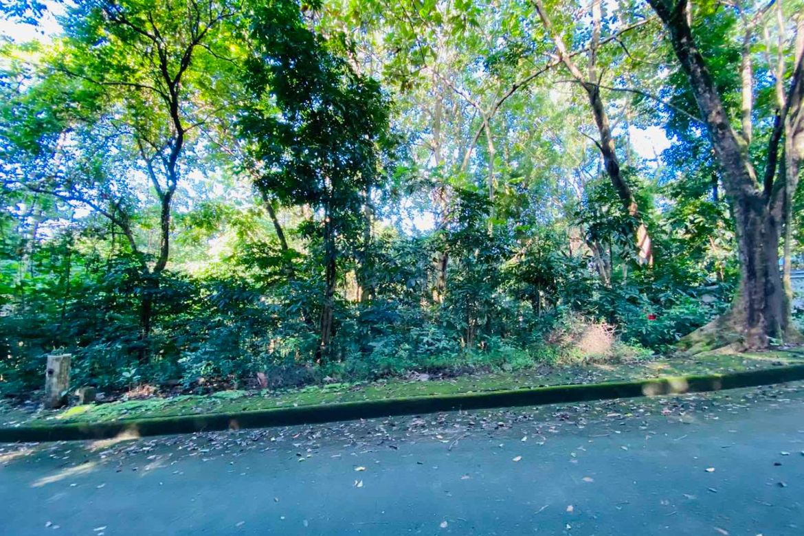 Land for Sale in Mambugan, Antipolo, Rizal – photo 4