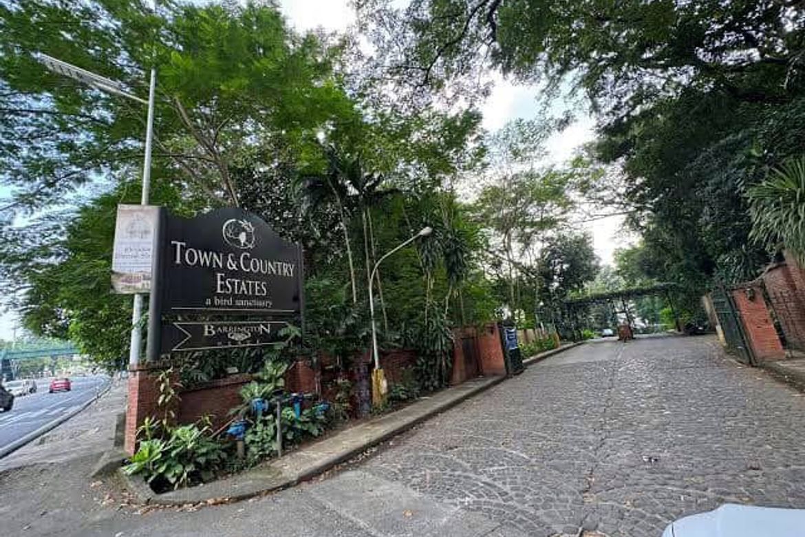 Land for Sale in Mambugan, Antipolo, Rizal