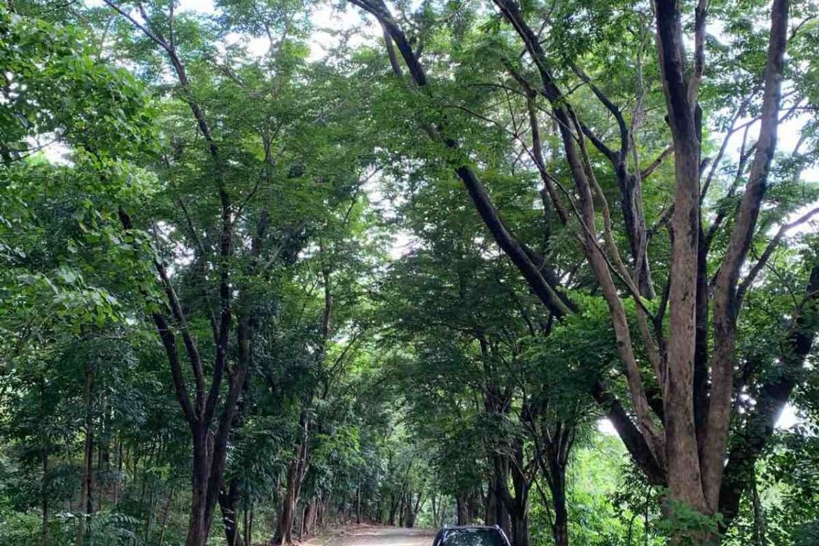 Land for Sale in Mambugan, Antipolo, Rizal – photo 4