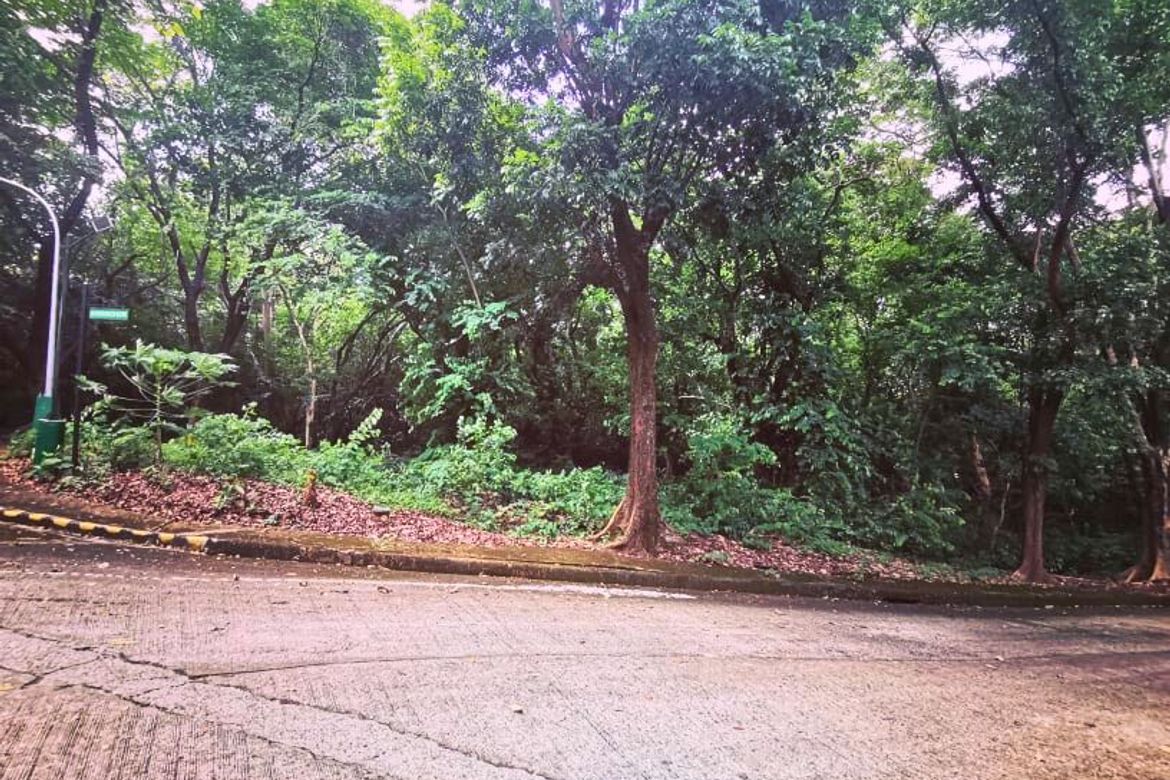 Land for Sale in Mambugan, Antipolo, Rizal