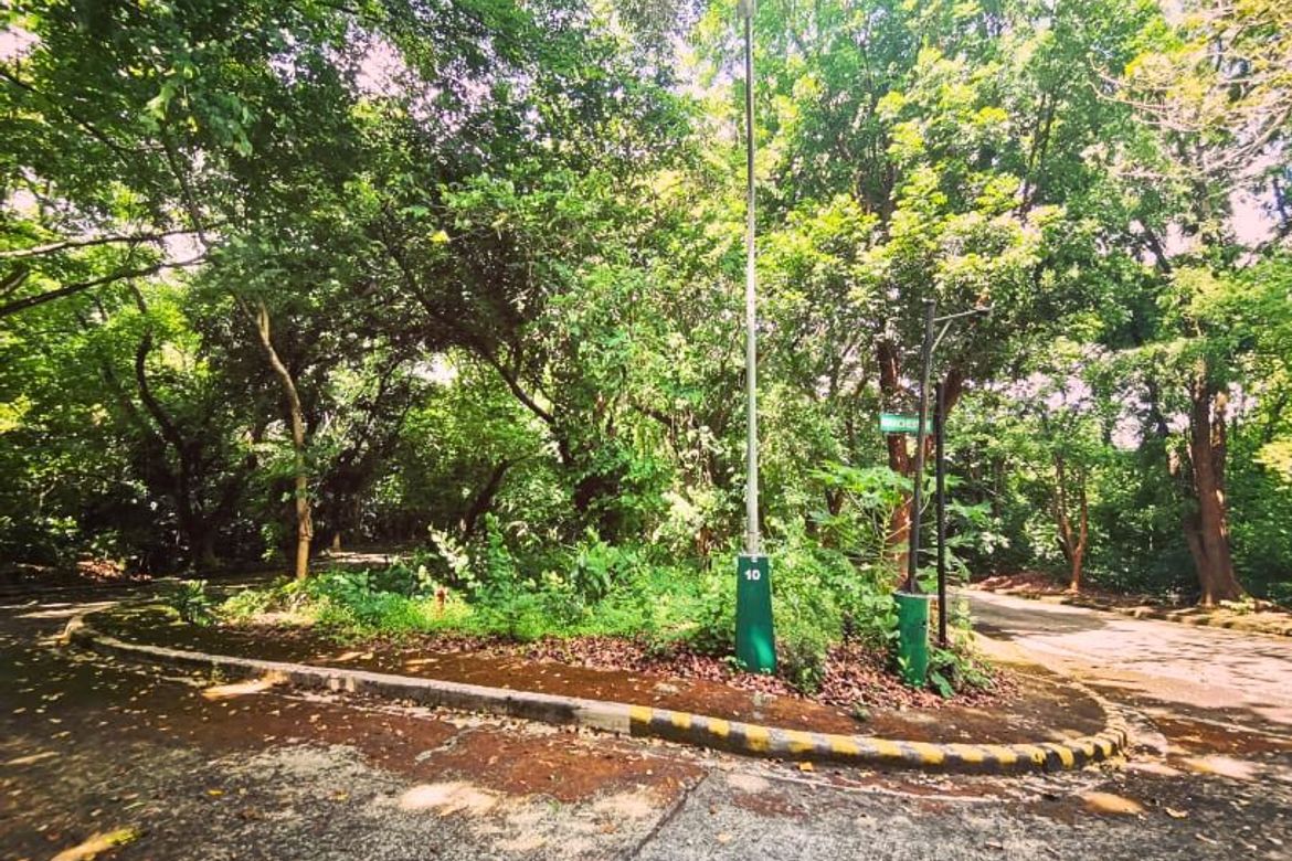 Land for Sale in Mambugan, Antipolo, Rizal – photo 2