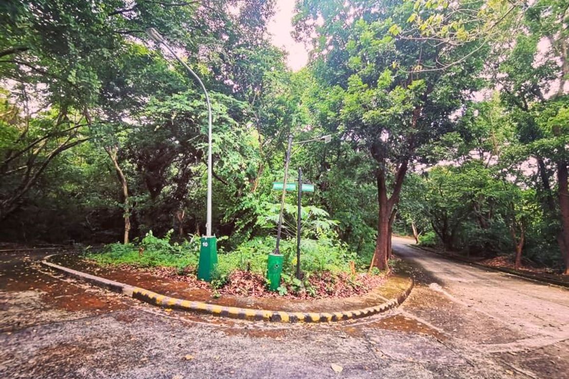 Land for Sale in Mambugan, Antipolo, Rizal – photo 4