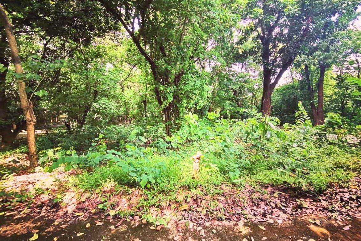 Land for Sale in Mambugan, Antipolo, Rizal – photo 5
