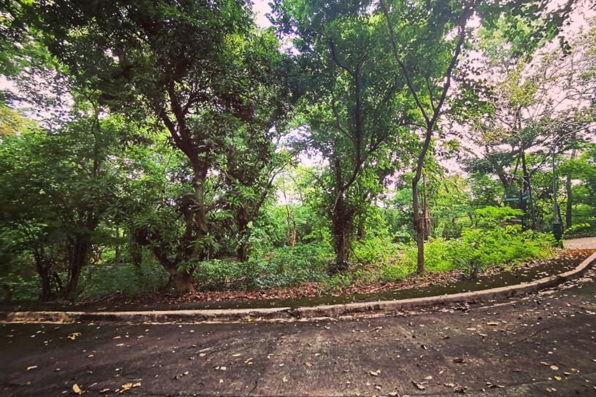 Land for Sale in Mambugan, Antipolo, Rizal – photo 7