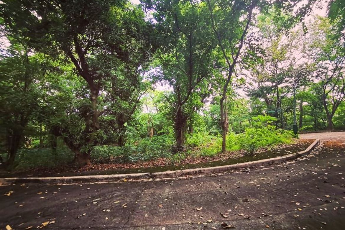 Land for Sale in Mambugan, Antipolo, Rizal – photo 8