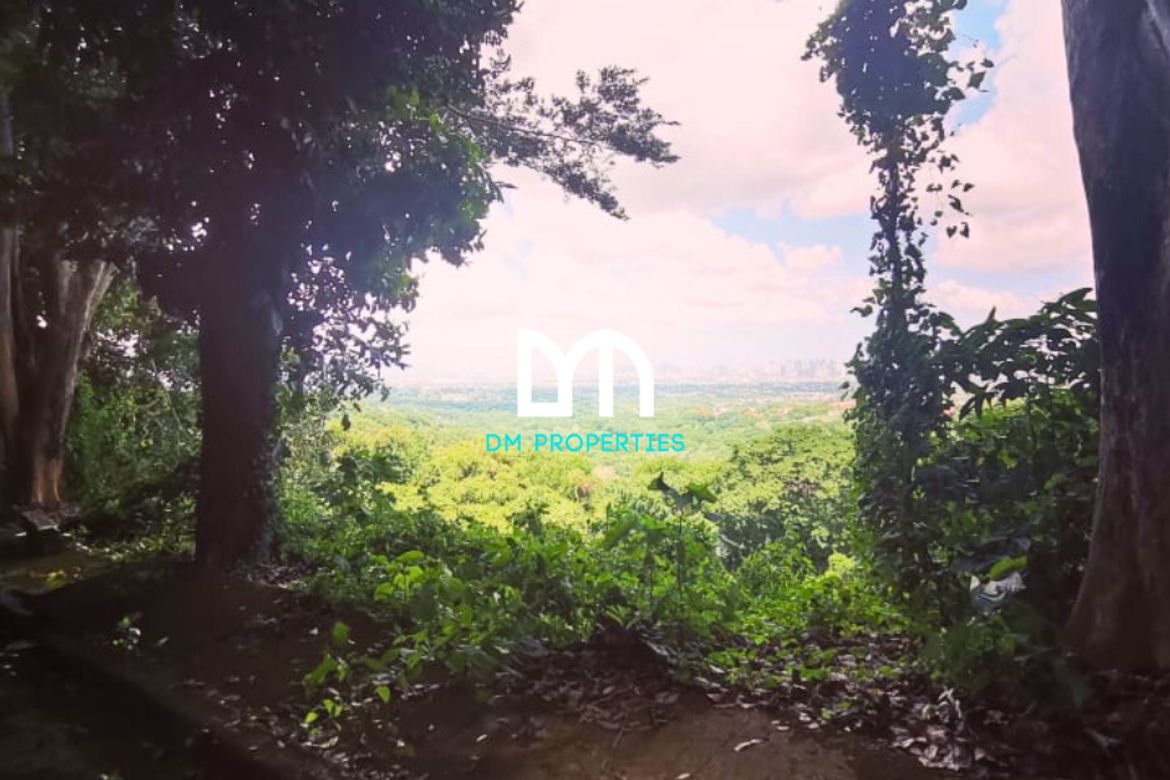 Land for Sale in Mambugan, Antipolo, Rizal