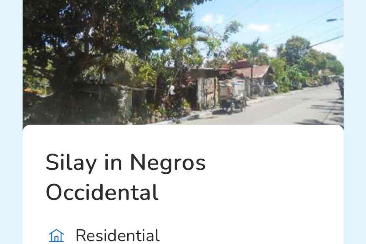 Land for Sale in Mambulac, Silay, Negros Occidental – photo 3