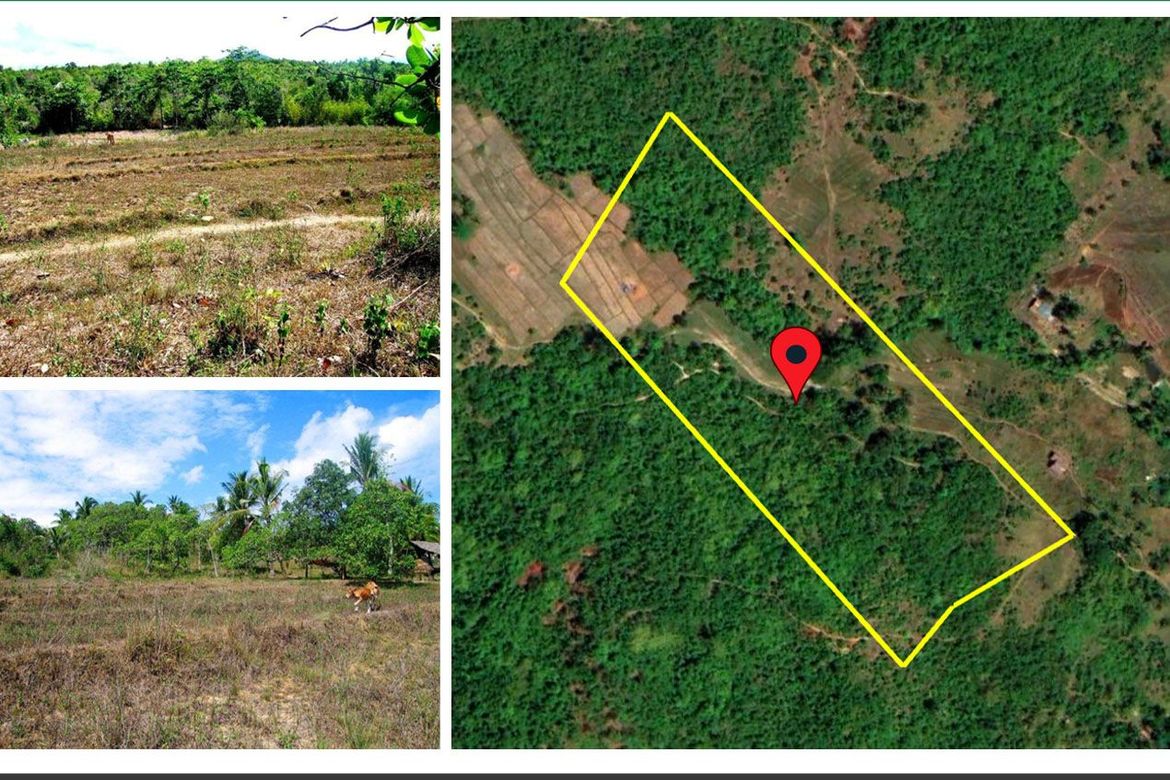 Land for Sale in Manalo, Puerto Princesa, Palawan