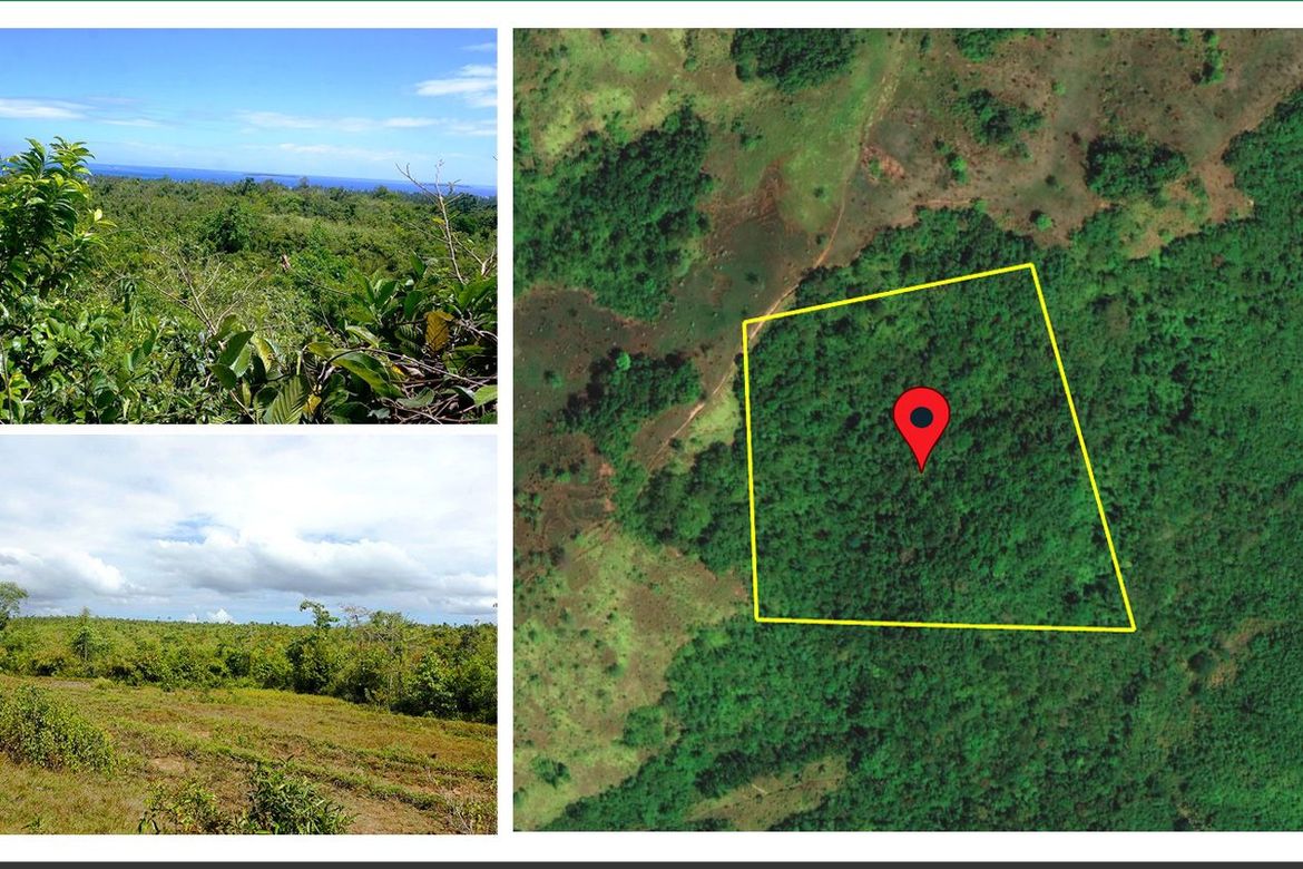 Land for Sale in Manalo, Puerto Princesa, Palawan