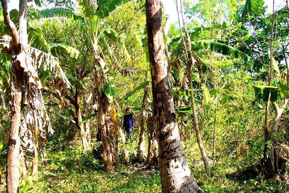Land for Sale in Manalo, Puerto Princesa, Palawan – photo 6