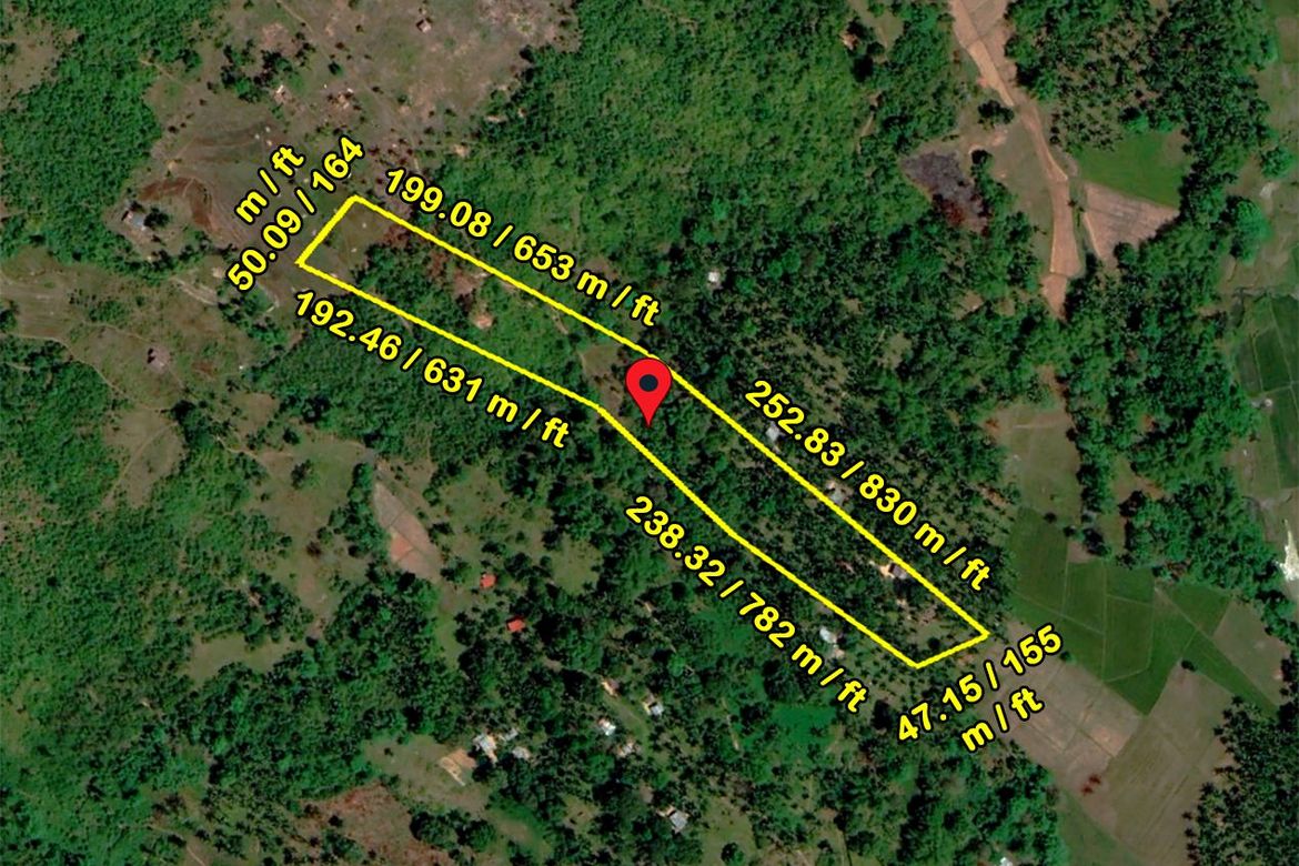 Land for Sale in Manalo, Puerto Princesa, Palawan – photo 8