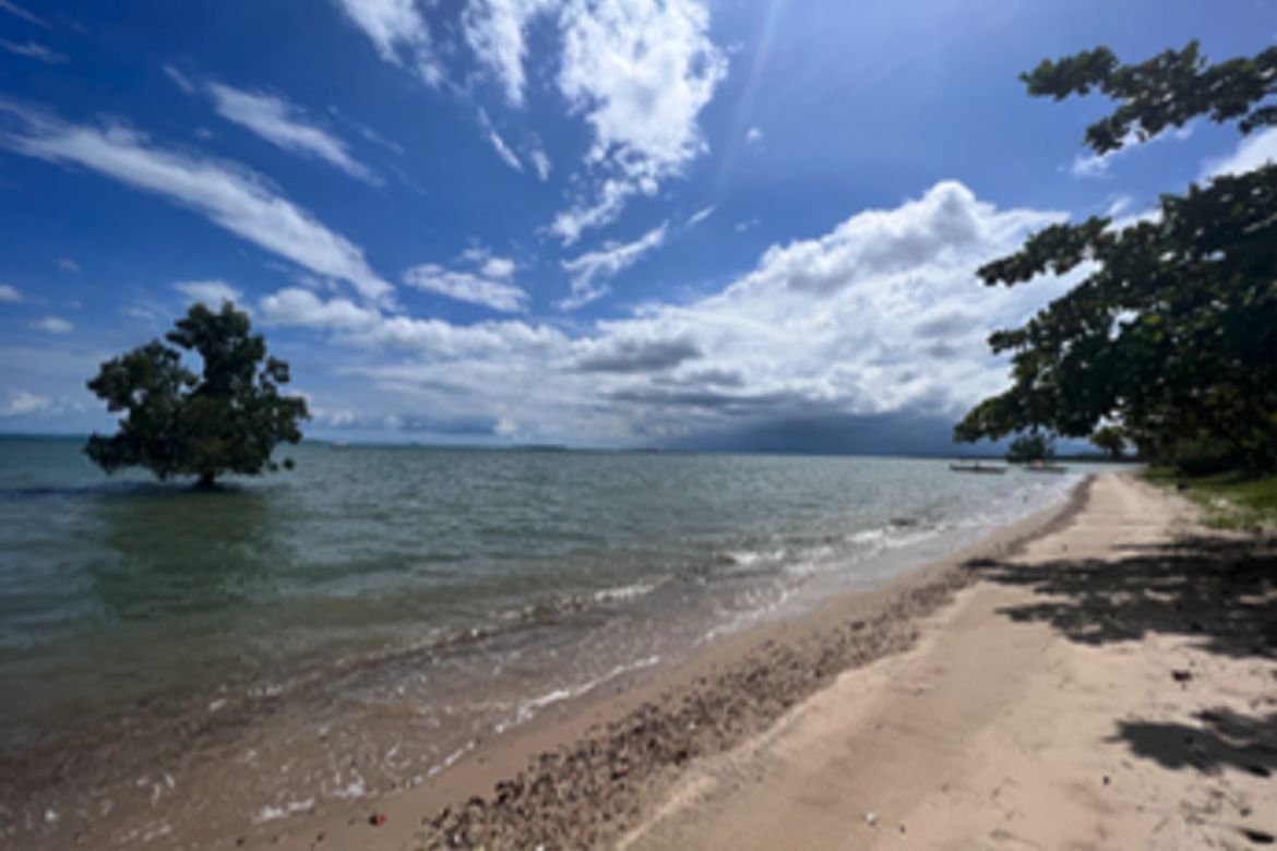 Land for Sale in Manalo, Puerto Princesa, Palawan – photo 2