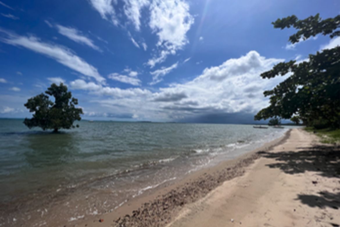 Land for Sale in Manalo, Puerto Princesa, Palawan – photo 8