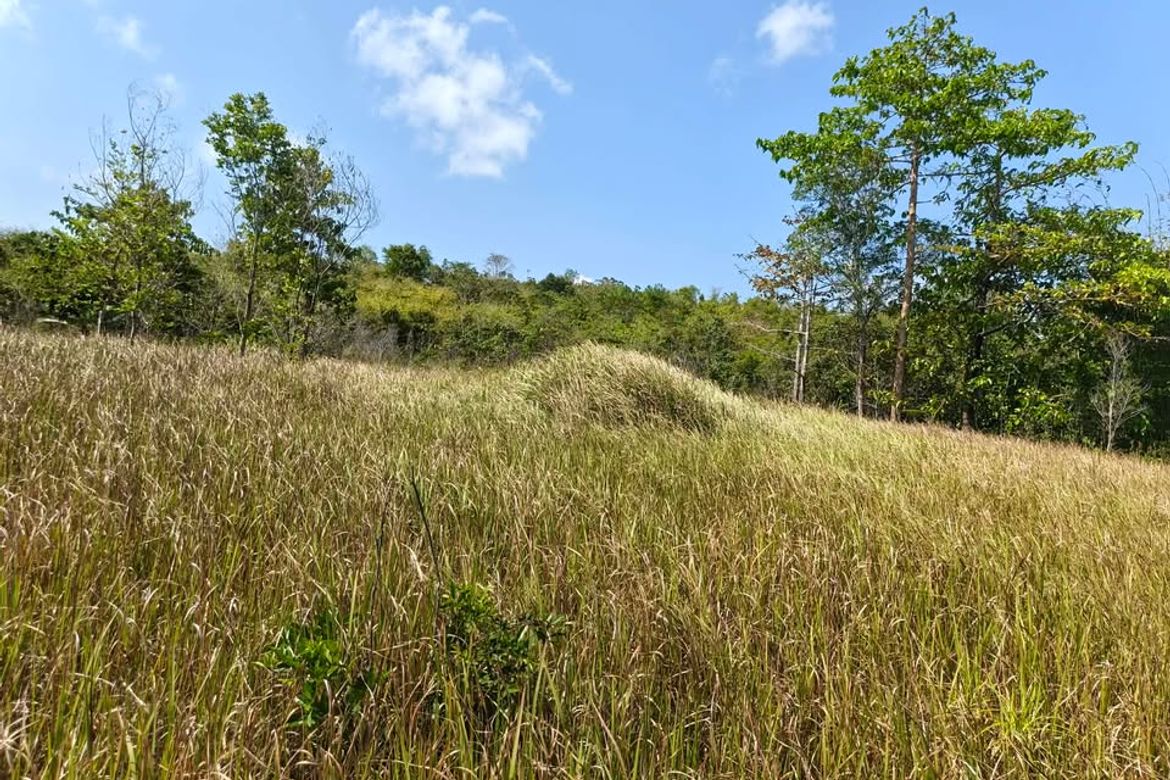 Land for Sale in Manalo, Puerto Princesa, Palawan – photo 4