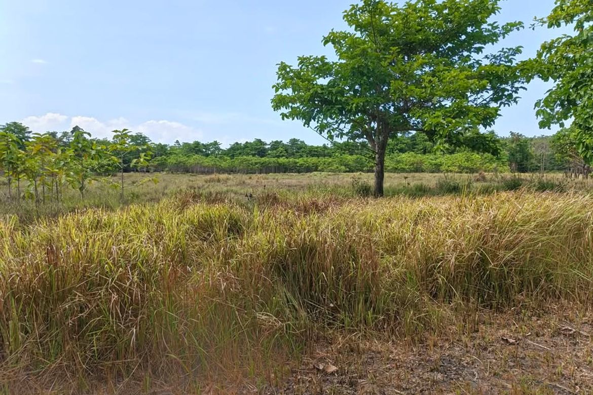 Land for Sale in Manalo, Puerto Princesa, Palawan – photo 5
