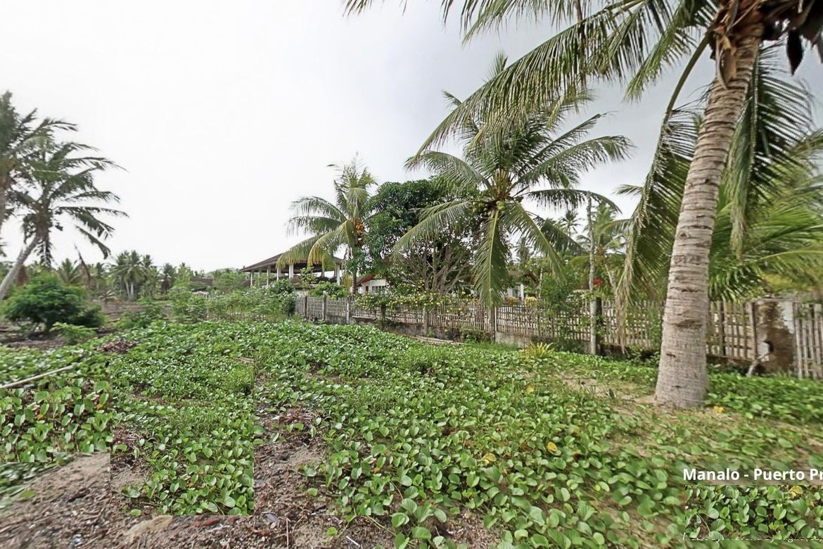 Land for Sale in Manalo, Puerto Princesa, Palawan – photo 5