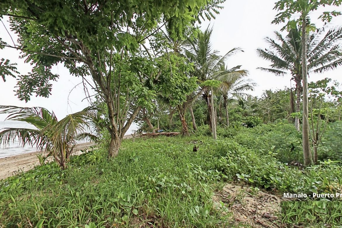 Land for Sale in Manalo, Puerto Princesa, Palawan – photo 7