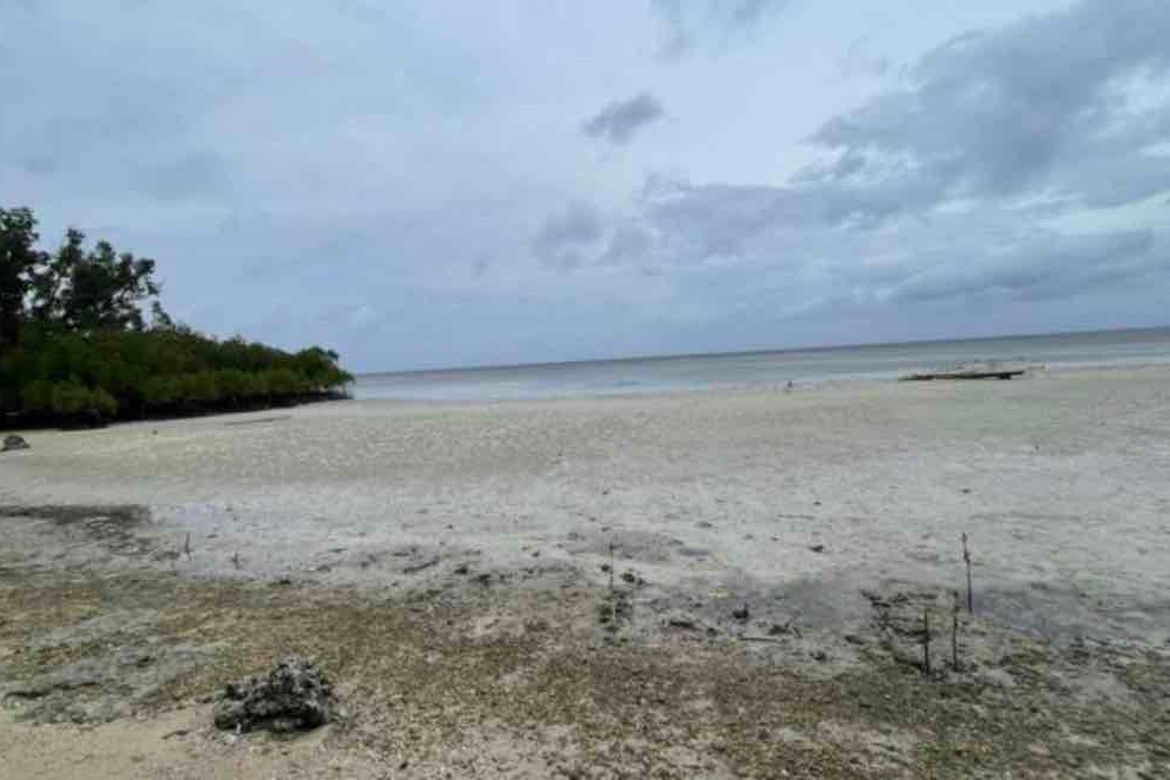 Land for Sale in Manan-Ao, Enrique Villanueva, Siquijor