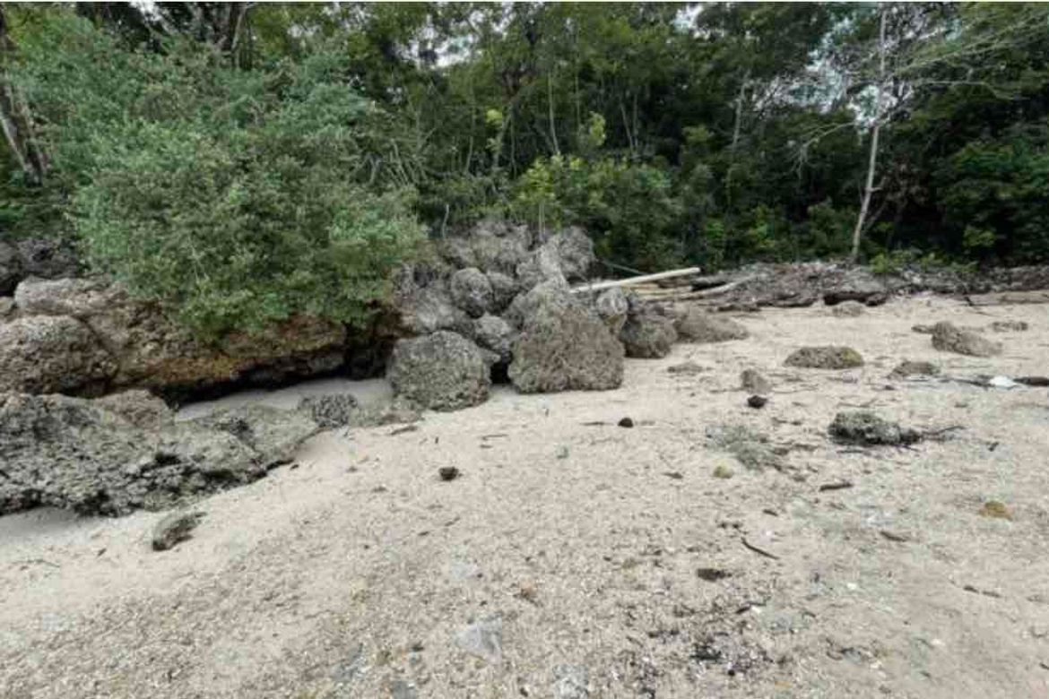 Land for Sale in Manan-Ao, Enrique Villanueva, Siquijor – photo 3