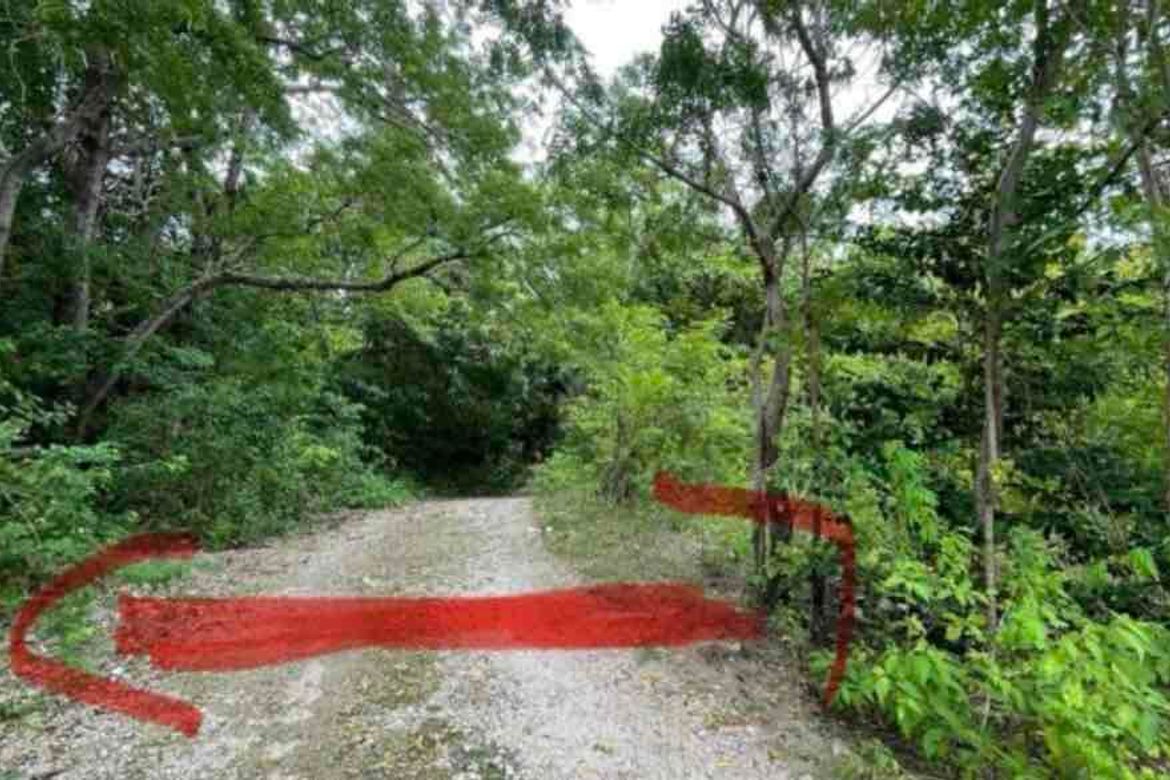 Land for Sale in Manan-Ao, Enrique Villanueva, Siquijor – photo 4