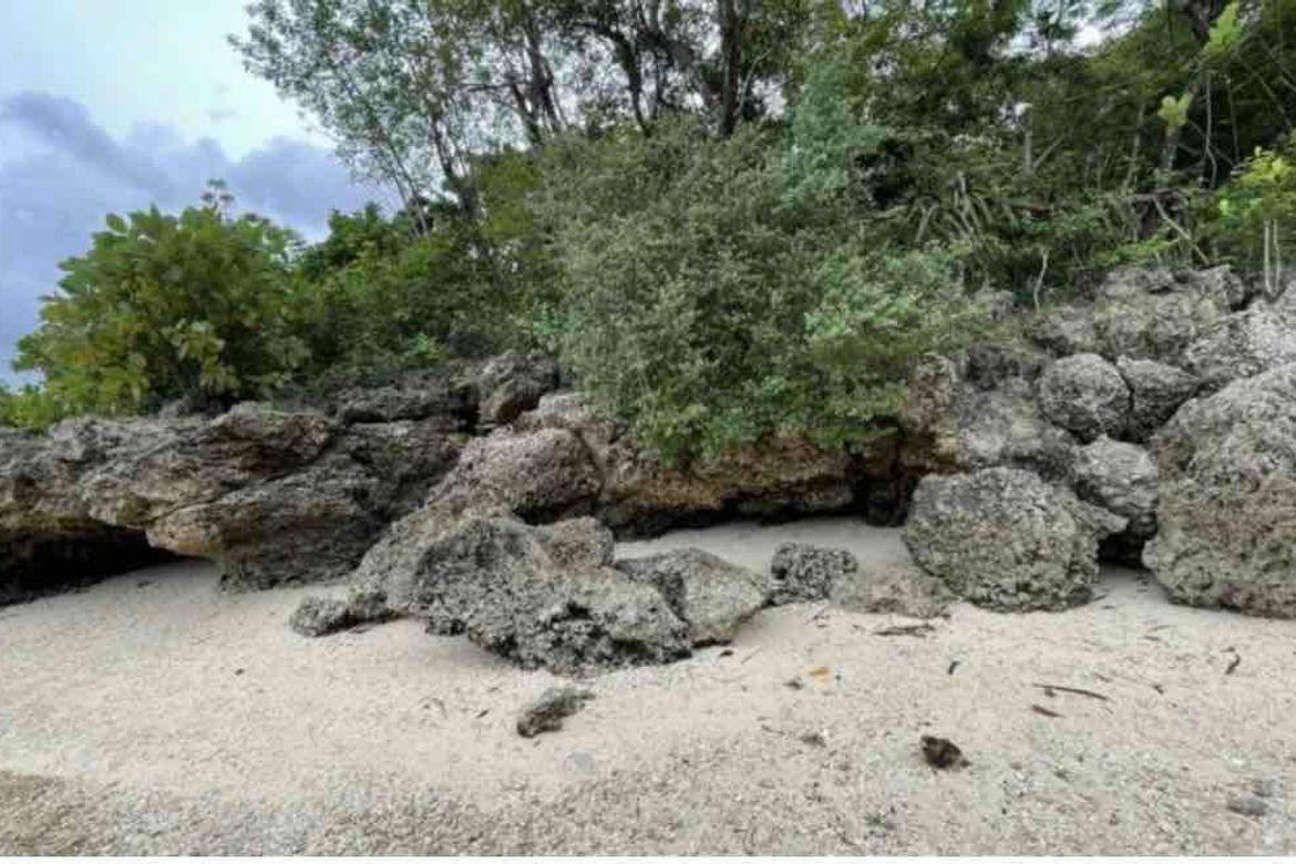 Land for Sale in Manan-Ao, Enrique Villanueva, Siquijor – photo 6