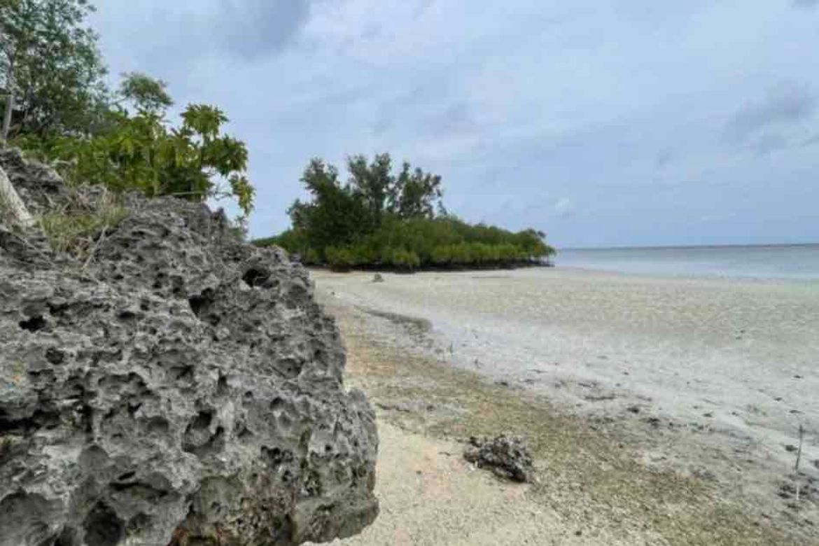Land for Sale in Manan-Ao, Enrique Villanueva, Siquijor – photo 8