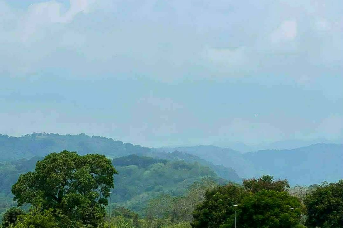 Land for Sale in Mancatian, Porac, Pampanga – photo 2