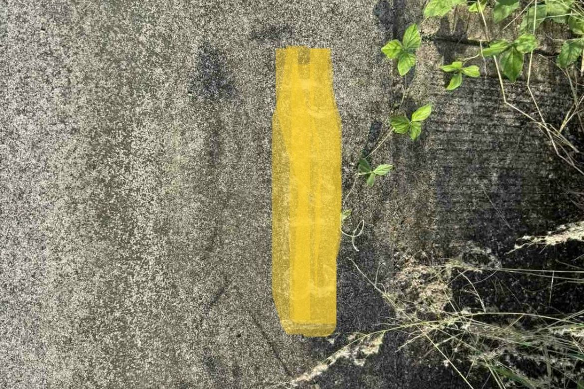 Land for Sale in Mancatian, Porac, Pampanga – photo 3