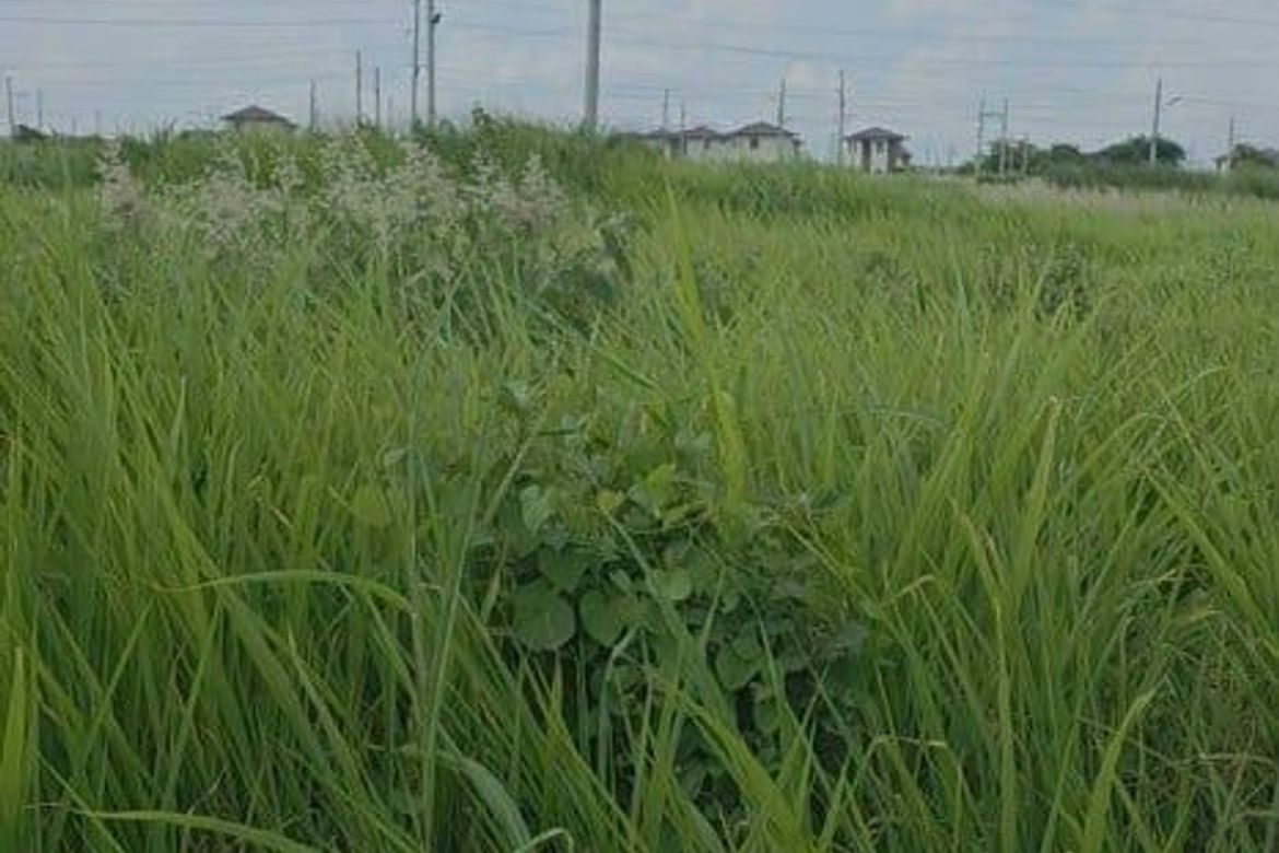 Land for Sale in Mancatian, Porac, Pampanga – photo 5