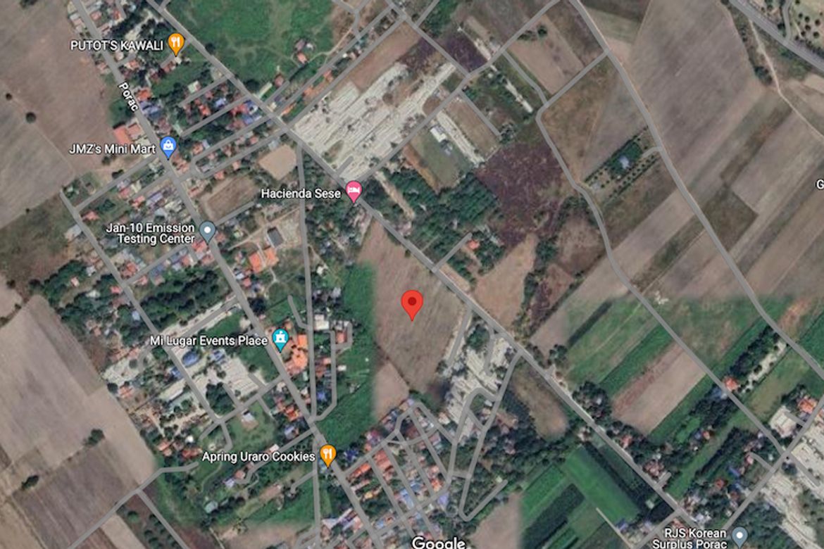 Land for Sale in Mancatian, Porac, Pampanga – photo 6