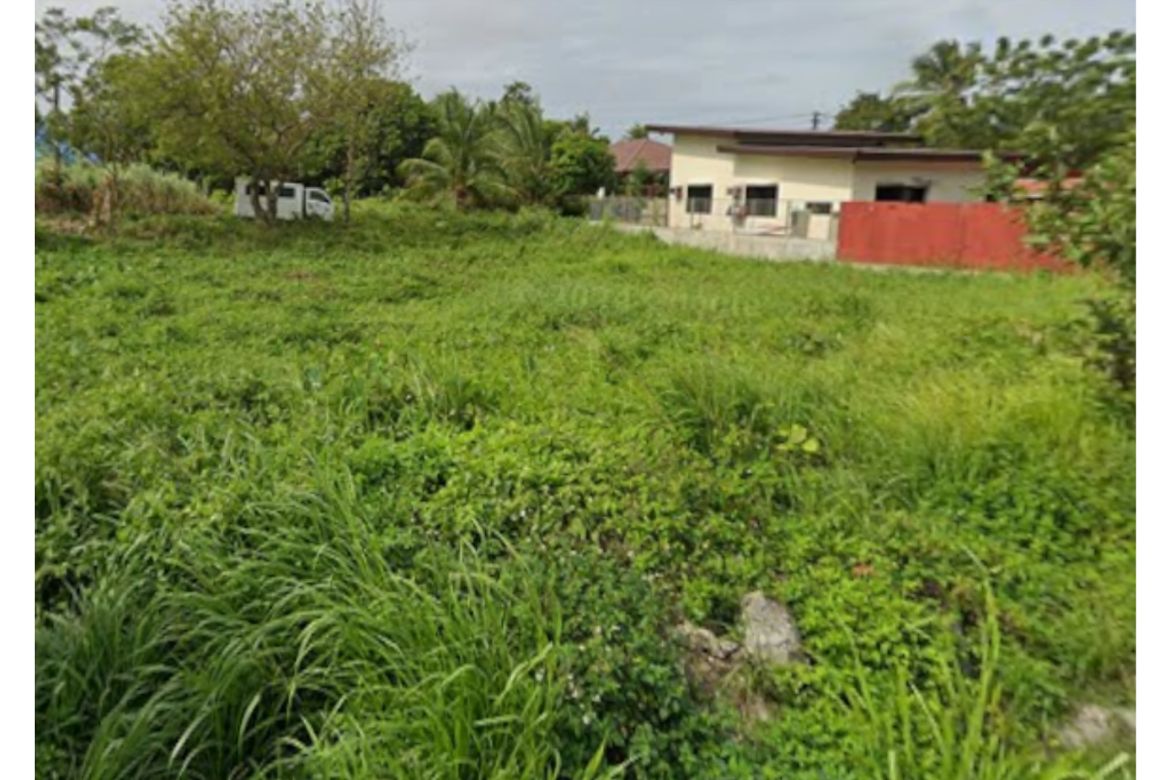 Land for Sale in Mandalagan, Bacolod, Negros Occidental – photo 3