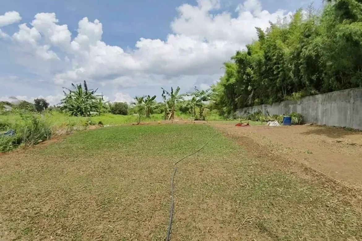Land for Sale in Mandalagan, Bacolod, Negros Occidental