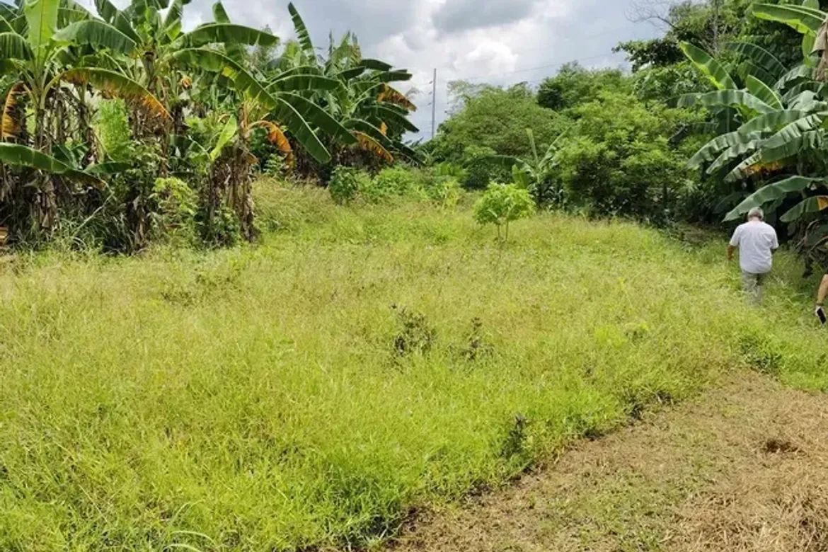 Land for Sale in Mandalagan, Bacolod, Negros Occidental – photo 3