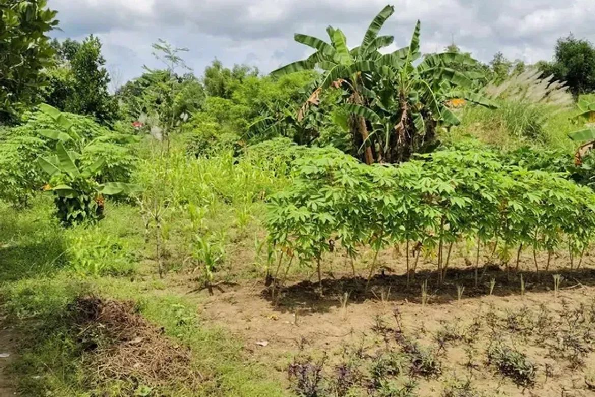 Land for Sale in Mandalagan, Bacolod, Negros Occidental – photo 4