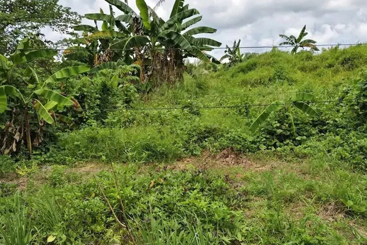 Land for Sale in Mandalagan, Bacolod, Negros Occidental – photo 5