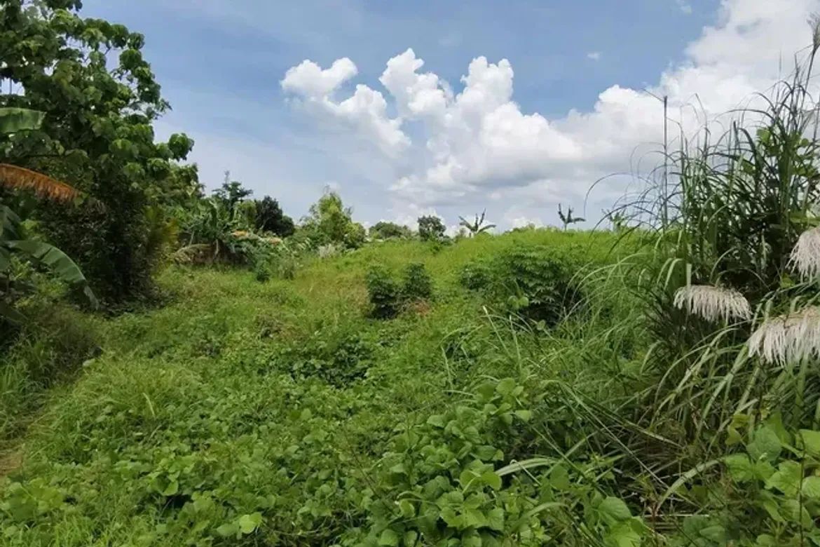 Land for Sale in Mandalagan, Bacolod, Negros Occidental – photo 7