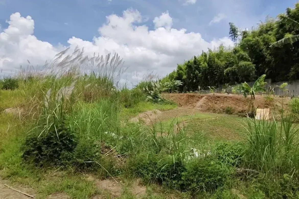 Land for Sale in Mandalagan, Bacolod, Negros Occidental – photo 8