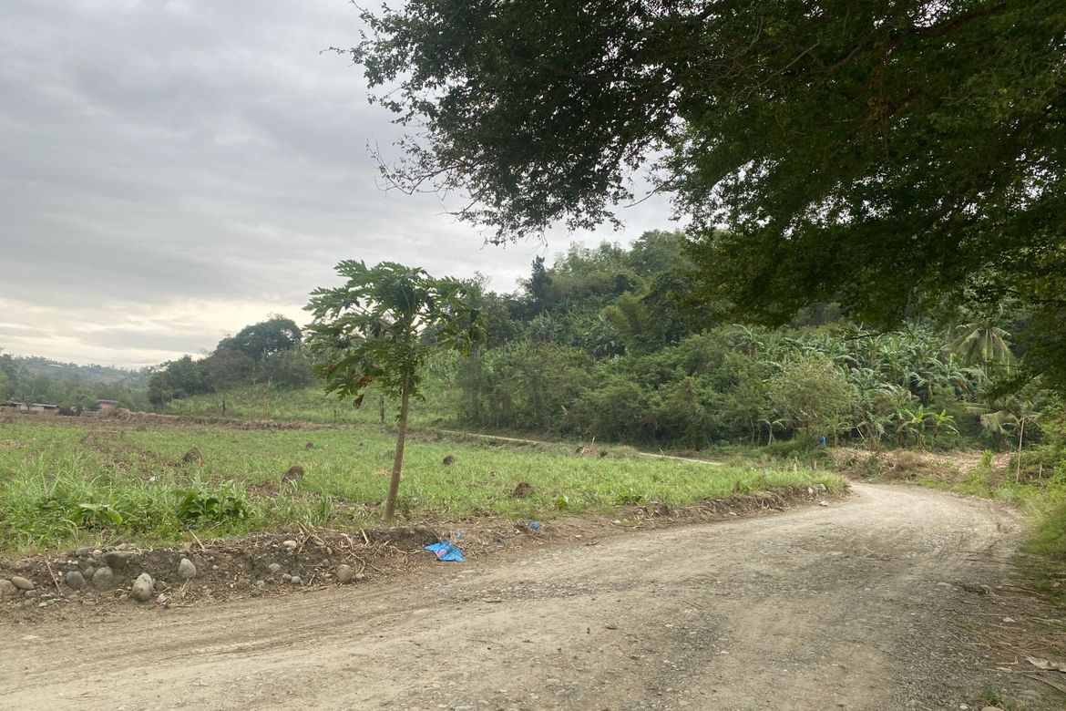 Land for Sale in Mandog, Maasin, Iloilo – photo 2