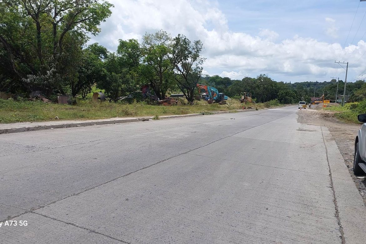 Land for Sale in Mandug, Davao City, Davao del Sur – photo 2