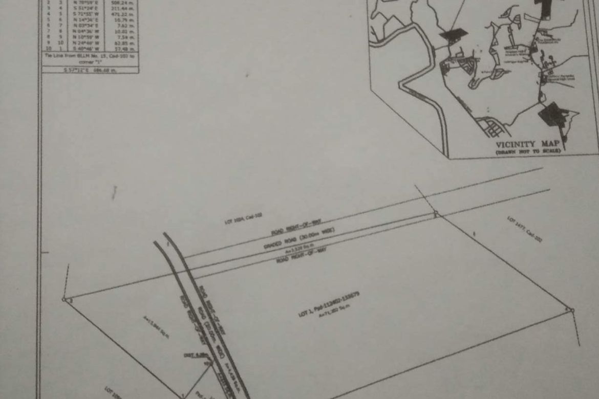 Land for Sale in Mandug, Davao City, Davao del Sur – photo 6