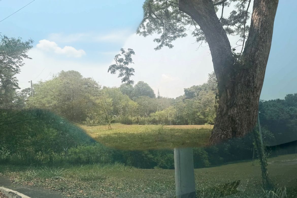 Land for Sale in Mandug, Davao City, Davao del Sur