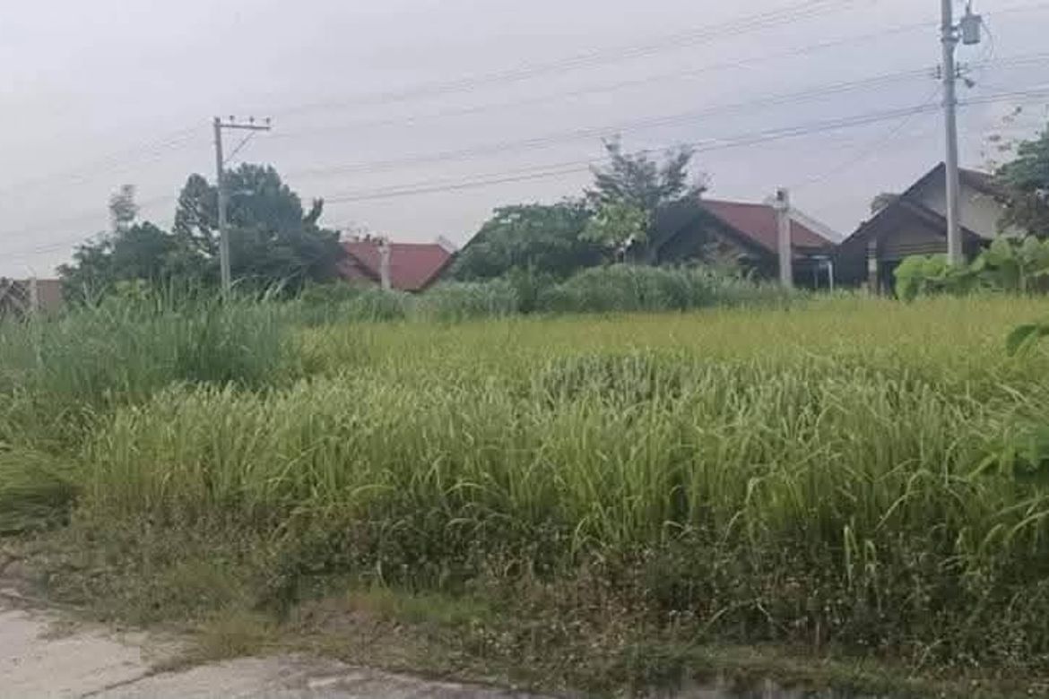 Land for Sale in Mandug, Davao City, Davao del Sur – photo 7