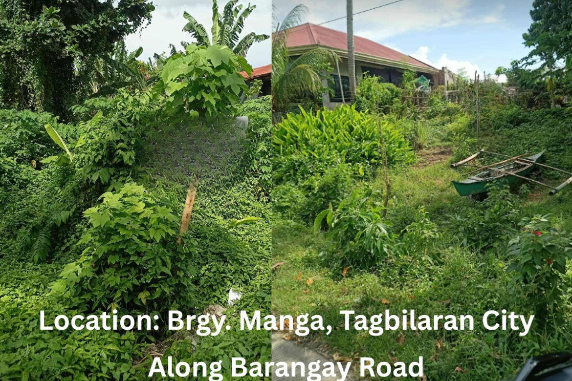 Land for Sale in Manga, Tagbilaran, Bohol
