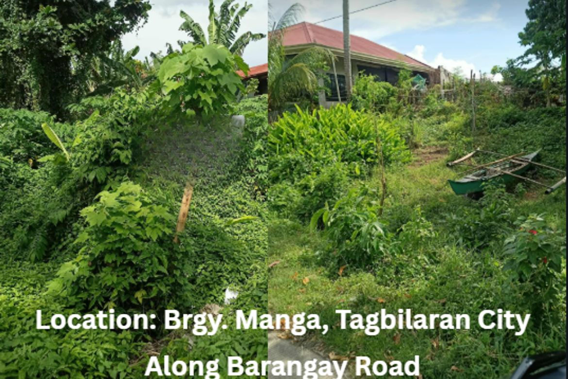 Land for Sale in Manga, Tagbilaran, Bohol – photo 2