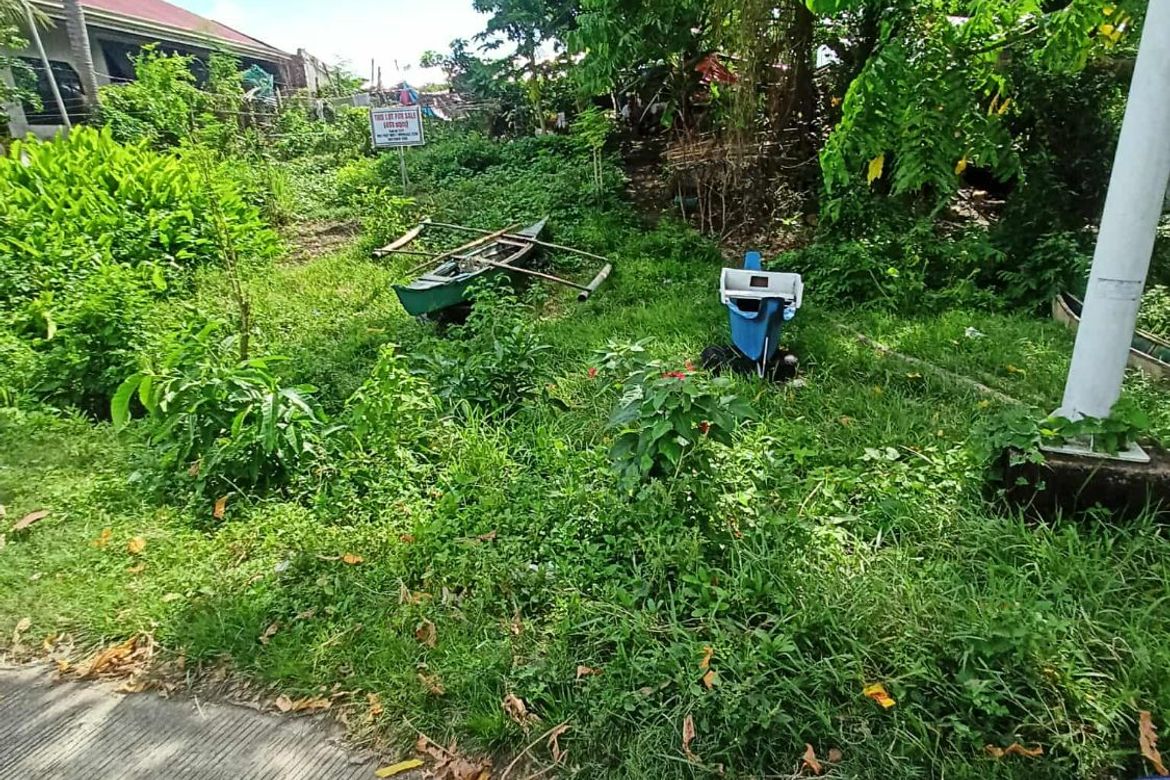 Land for Sale in Manga, Tagbilaran, Bohol – photo 3