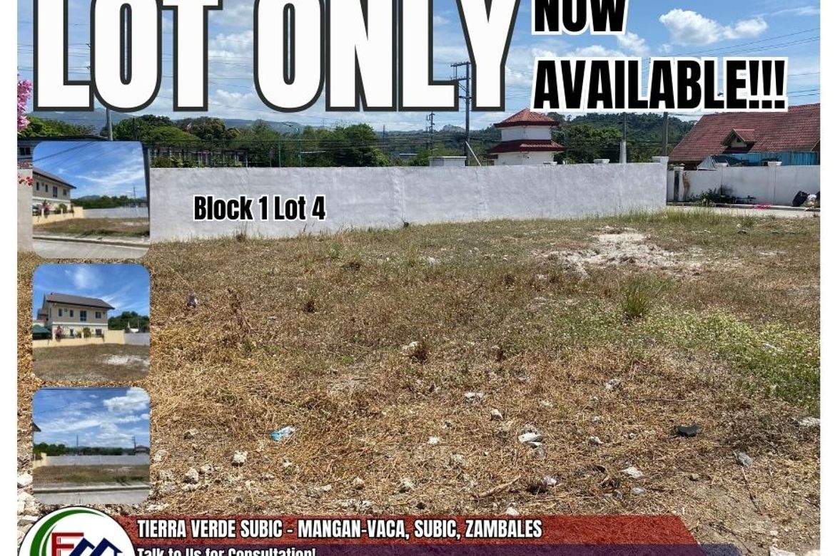 Land for Sale in Mangan-Vaca, Subic, Zambales
