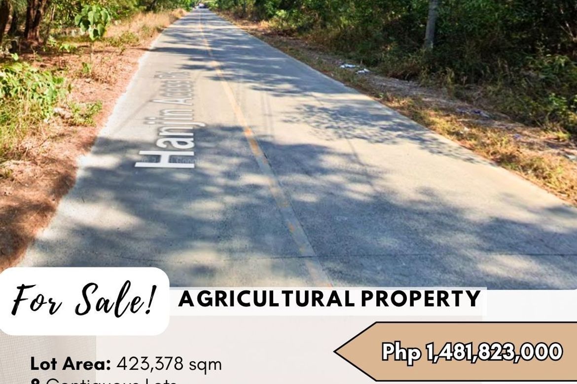 Land for Sale in Mangan-Vaca, Subic, Zambales