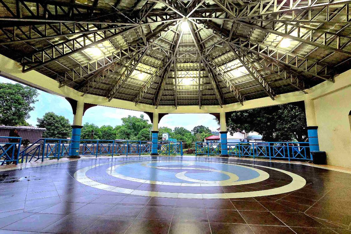 Land for Sale in Mangan-Vaca, Subic, Zambales – photo 8