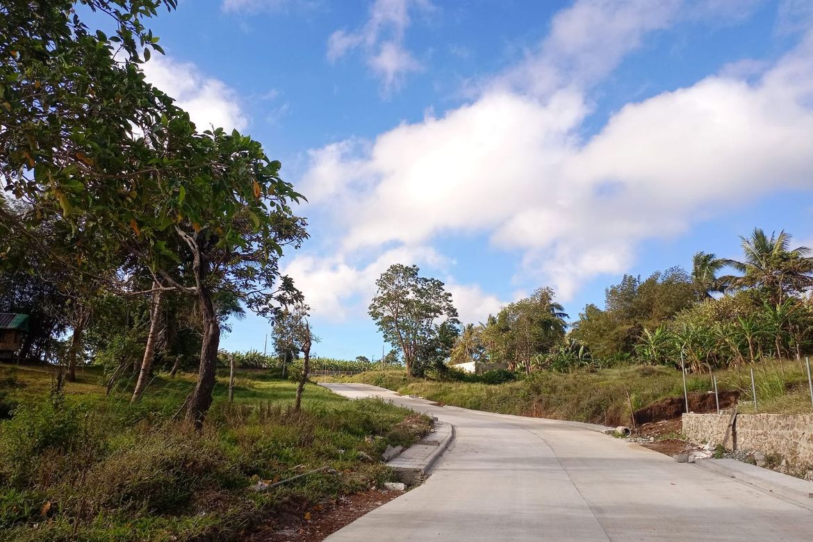 Land for Sale in Mangas I, Alfonso, Cavite – photo 3